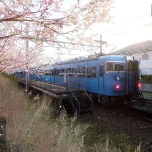Un simulateur de train créé par une seule personne est considéré comme le meilleur jamais réalisé