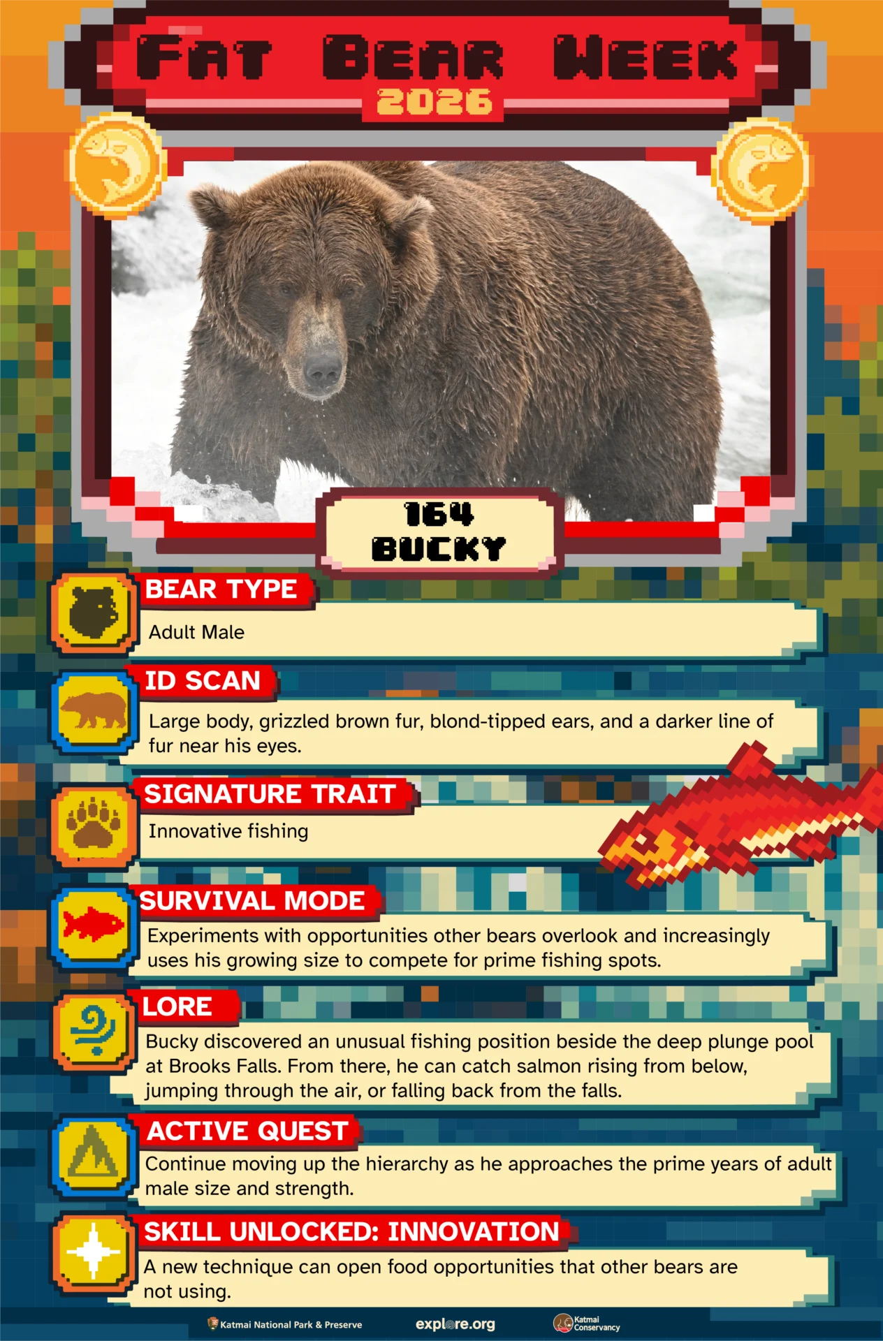 164 Fiche d'information sur Bucky Sara Wolman Explorer