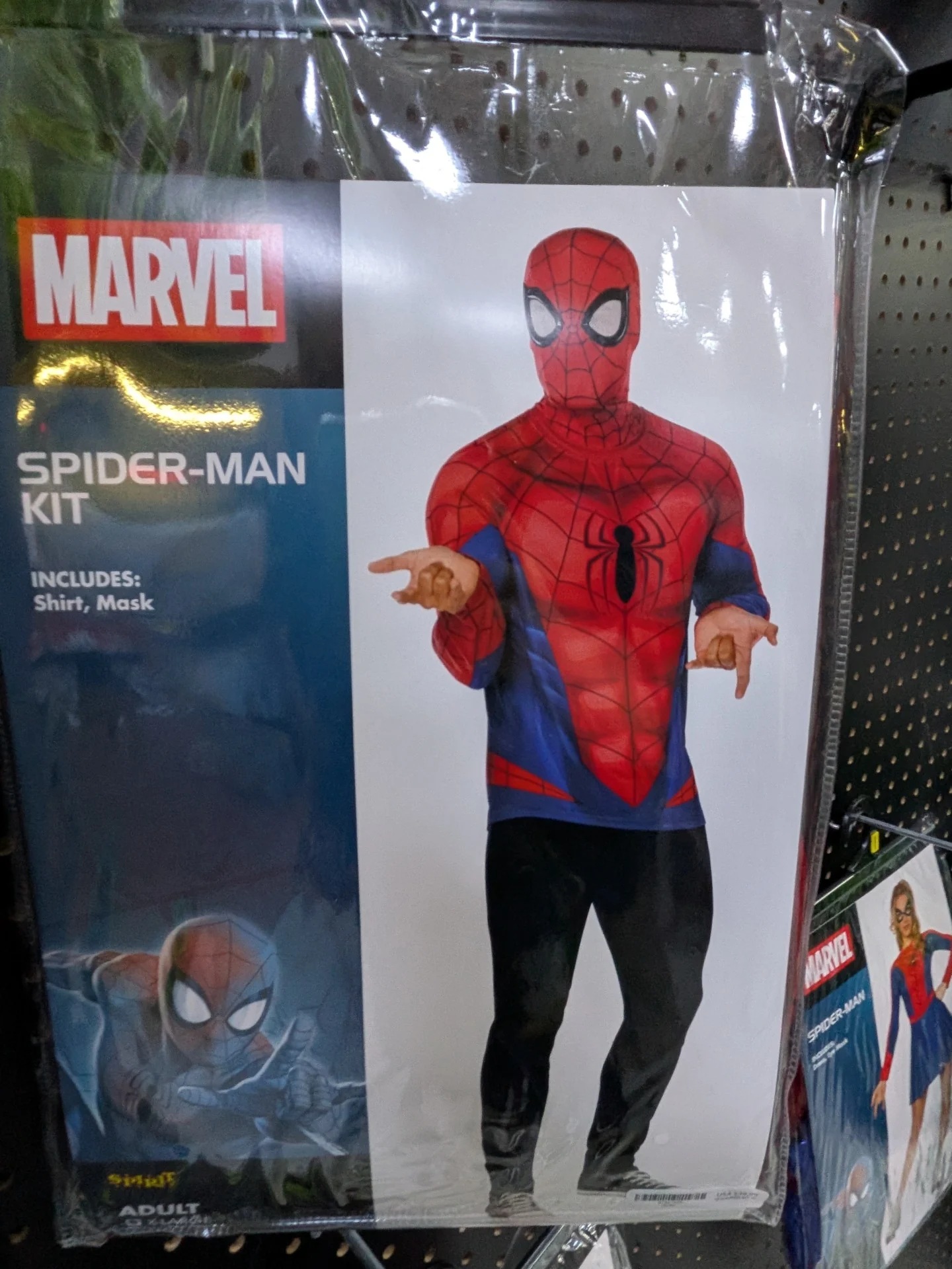 Esprit Spider-Man paresseux
